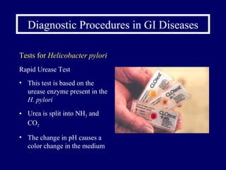 Diagnostic Procedures in GI Diseases Tests for  Helicobacter pylori Rapid Urease Test This test is based on the urease enzyme present in the  H. pylori  Urea is split into NH 3  and CO 2  The change in pH causes a color change in the medium 
