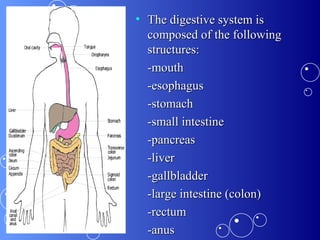 The digestive system is composed of the following structures: -mouth -esophagus -stomach -small intestine -pancreas -liver -gallbladder -large intestine (colon) -rectum -anus 