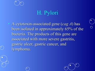 H. Pylori A cytotoxin-associated gene ( cag A ) has been isolated in approximately 65% of the bacteria. The products of this gene are associated with more severe gastritis, gastric ulcer, gastric cancer, and lymphoma.  