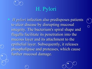 H. Pylori H pylori  infection also predisposes patients to ulcer disease by disrupting mucosal integrity. The bacterium's spiral shape and flagella facilitate its penetration into the mucous layer and its attachment to the epithelial layer. Subsequently, it releases phospholipase and proteases, which cause further mucosal damage. 