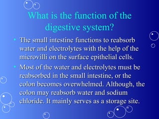 What is the function of the digestive system? The small intestine functions to reabsorb water and electrolytes with the help of the microvilli on the surface epithelial cells. Most of the water and electrolytes must be reabsorbed in the small intestine, or the colon becomes overwhelmed. Although, the colon may reabsorb water and sodium chloride. It mainly serves as a storage site.  