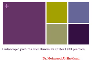 +

Endoscopic pictures from Kurdistan center GEH practice
Dr. Mohamed Al-Shekhani.

 