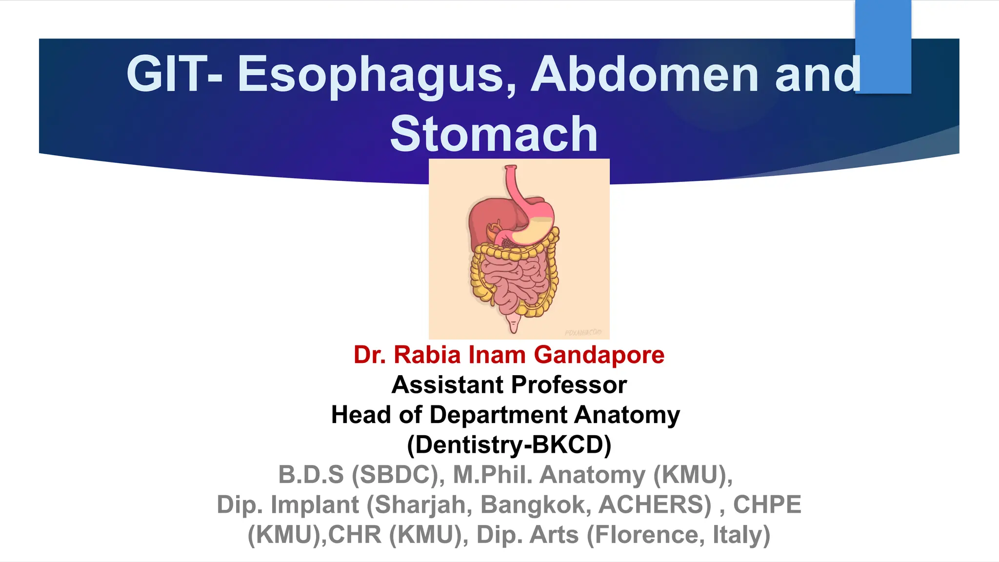 GIT, Esophagus, Stomach & Abdomen BY Dr. Rabia Inam Gandapore.pptx