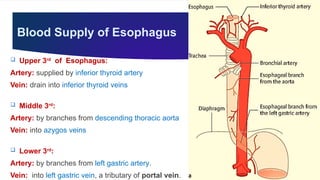 GIT, Esophagus, Stomach & Abdomen BY Dr. Rabia Inam Gandapore.pptx