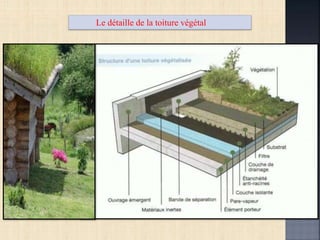 Le détaille de la toiture végétal
 