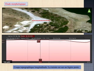 Étude morphologique
Coupe topographique longitudinale: Le terrain est sur un légère pente.
N
 
