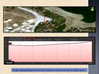 Coupe topographique transversal: Encore le terrain est sur un légère pente.
N
 