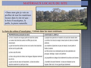 MATÉRIAUX LOCAUX DU SITE
Le bois des arbres d’eucalyptus : Utilisés dans les murs extérieurs.
• Dans mon gite je vais en
profiter de tout les matériaux
locaux dans le site tel que :
le bois d’eucalyptus, la
paille, la pierre naturelle.
 