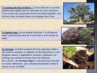 L’avantage du bois d’olivier : Le bois d'olivier est un bois
parfaitement adapté pour les ustensiles de toute utilisation ,
C'est un bois dur, qui permet d'avoir une dureté parfaite, c'est
du bois, donc ne jamais laisser en trempage dans l'eau.
Le laurier-rose : est un arbuste d'environ 2 m de hauteur
mais il peut mesurer plus de 4 m de haut si on le forme en
arbre.
Le terreau: est plutôt composé de terre organique mêlée à
des matières animaux et végétales en décomposition, et sert
d'engrais naturel. L'appellation «terreau» s'applique à un
mélange qui contient au moins deux des éléments.
En se trouve des terreaux légers, c'est-à-dire qui sont plus
ou moins sablonneux, qui se drainent facilement et dont la
teneur en eau est faible.
 