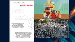 Human Experience
 