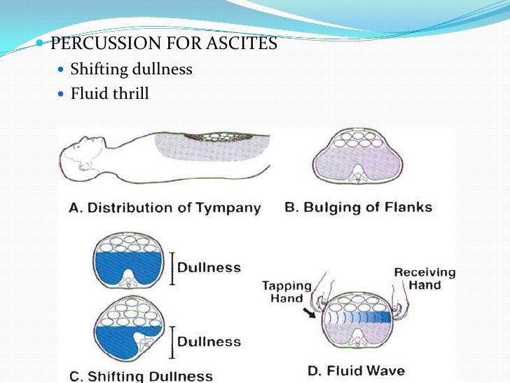 Git examination pediatrics awais