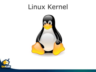Linux Kernel
 