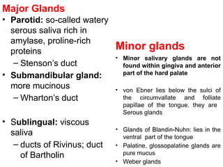 Major Glands
• Parotid: so-called watery
serous saliva rich in
amylase, proline-rich
proteins
– Stenson’s duct
• Submandibular gland:
more mucinous
– Wharton’s duct
• Sublingual: viscous
saliva
– ducts of Rivinus; duct
of Bartholin
Minor glands
• Minor salivary glands are not
found within gingiva and anterior
part of the hard palate
• von Ebner lies below the sulci of
the circumvallate and folliate
papillae of the tongue. they are
Serous glands
• Glands of Blandin-Nuhn: lies in the
ventral part of the tongue
• Palatine, glossopalatine glands are
pure mucus
• Weber glands
 