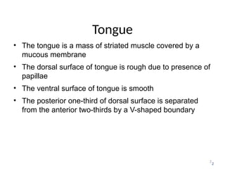 2
Tongue
• The tongue is a mass of striated muscle covered by a
mucous membrane
• The dorsal surface of tongue is rough due to presence of
papillae
• The ventral surface of tongue is smooth
• The posterior one-third of dorsal surface is separated
from the anterior two-thirds by a V-shaped boundary
2
 