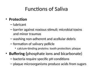 Functions of Saliva
• Protection
– lubricant
– barrier against noxious stimuli; microbial toxins
and minor traumas
– washing non-adherent and acellular debris
– formation of salivary pellicle
• calcium-binding proteins: tooth protection; plaque
• Buffering (phosphate ions and bicarbonate)
– bacteria require specific pH conditions
– plaque microorganisms produce acids from sugars
 