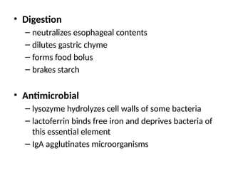 • Digestion
– neutralizes esophageal contents
– dilutes gastric chyme
– forms food bolus
– brakes starch
• Antimicrobial
– lysozyme hydrolyzes cell walls of some bacteria
– lactoferrin binds free iron and deprives bacteria of
this essential element
– IgA agglutinates microorganisms
 