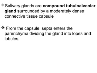 Salivary glands are compound tubuloalveolar
gland surrounded by a moderately dense
connective tissue capsule
 From the capsule, septa enters the
parenchyma dividing the gland into lobes and
lobules.
 