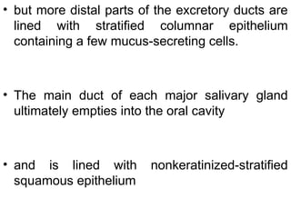 • but more distal parts of the excretory ducts are
lined with stratified columnar epithelium
containing a few mucus-secreting cells.
• The main duct of each major salivary gland
ultimately empties into the oral cavity
• and is lined with nonkeratinized-stratified
squamous epithelium
 