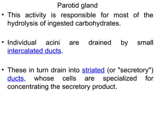 Parotid gland
• This activity is responsible for most of the
hydrolysis of ingested carbohydrates.
• Individual acini are drained by small
intercalated ducts.
• These in turn drain into striated (or "secretory")
ducts, whose cells are specialized for
concentrating the secretory product.
 