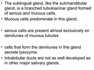 • The sublingual gland, like the submandibular
gland, is a branched tubuloacinar gland formed
of serous and mucous cells.
• Mucous cells predominate in this gland;
• serous cells are present almost exclusively on
demilunes of mucous tubules
• cells that form the demilunes in this gland
secrete lysozyme.
• Intralobular ducts are not as well developed as
in other major salivary glands.
 