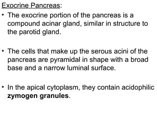 Exocrine Pancreas:
• The exocrine portion of the pancreas is a
compound acinar gland, similar in structure to
the parotid gland.
• The cells that make up the serous acini of the
pancreas are pyramidal in shape with a broad
base and a narrow luminal surface.
• In the apical cytoplasm, they contain acidophilic
zymogen granules.
 