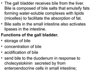 • The gall bladder receives bile from the liver.
Bile is composed of bile salts that emulsify fats
forming water-soluble complexes with lipids
(micelles) to facilitate the absorption of fat.
• Bile salts in the small intestine also activates
lipases in the intestine.
Functions of the gall bladder.
• storage of bile
• concentration of bile
• acidification of bile
• send bile to the duodenum in response to
cholecystokinin secreted by from
enteroendocrine cells in small intestine;
 
