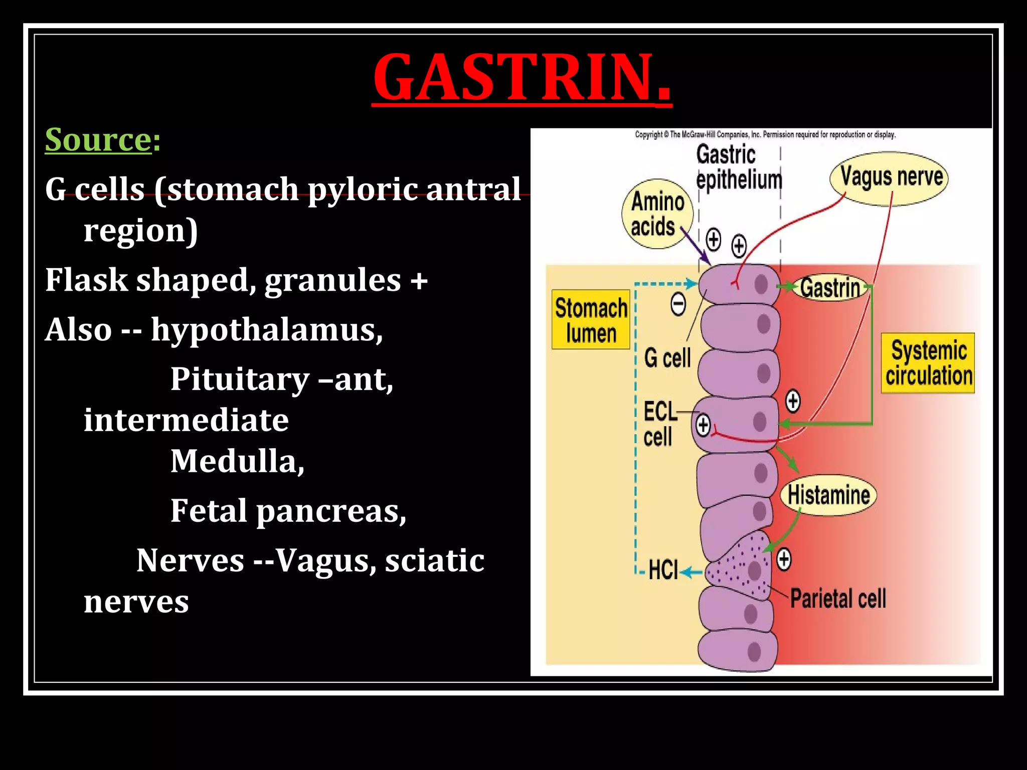 GASTRIN.
Source:
G cells (stomach pyloric antral
region)
Flask shaped, granules +
Also -- hypothalamus,
Pituitary –ant,
intermediate
Medulla,
Fetal pancreas,
Nerves --Vagus, sciatic
nerves
 