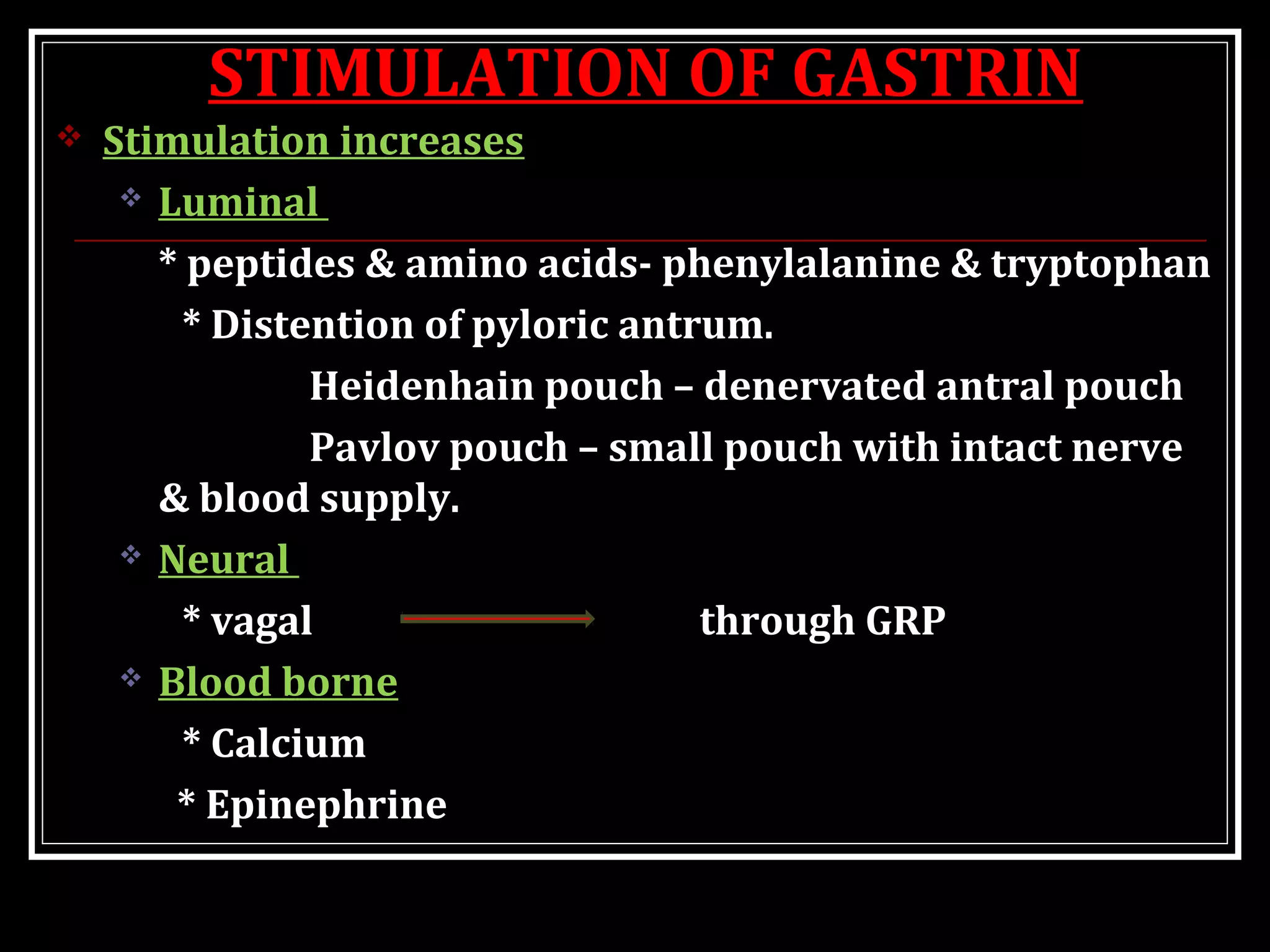 STIMULATION OF GASTRIN
 Stimulation increases
 Luminal
* peptides & amino acids- phenylalanine & tryptophan
* Distention of pyloric antrum.
Heidenhain pouch – denervated antral pouch
Pavlov pouch – small pouch with intact nerve
& blood supply.
 Neural
* vagal through GRP
 Blood borne
* Calcium
* Epinephrine
 