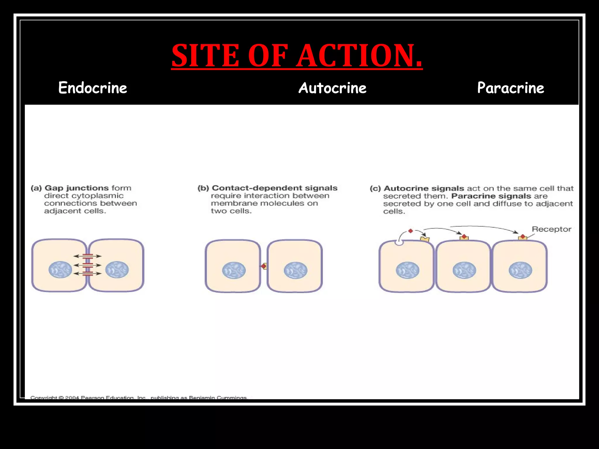SITE OF ACTION.
Endocrine Autocrine Paracrine
 