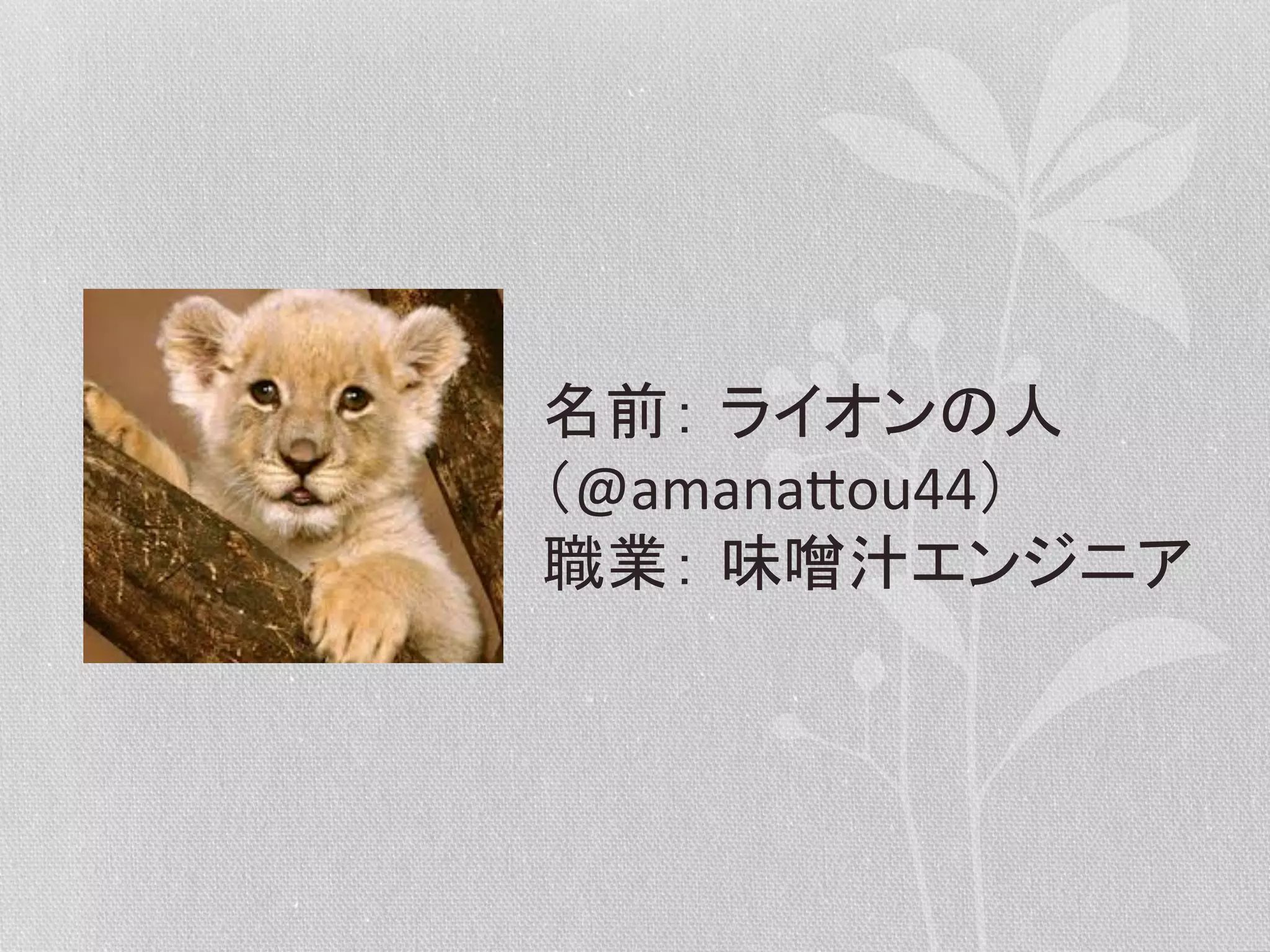 名前： ライオンの人	
  
（@amana&ou44）	
  
職業： 味噌汁エンジニア	
  

 