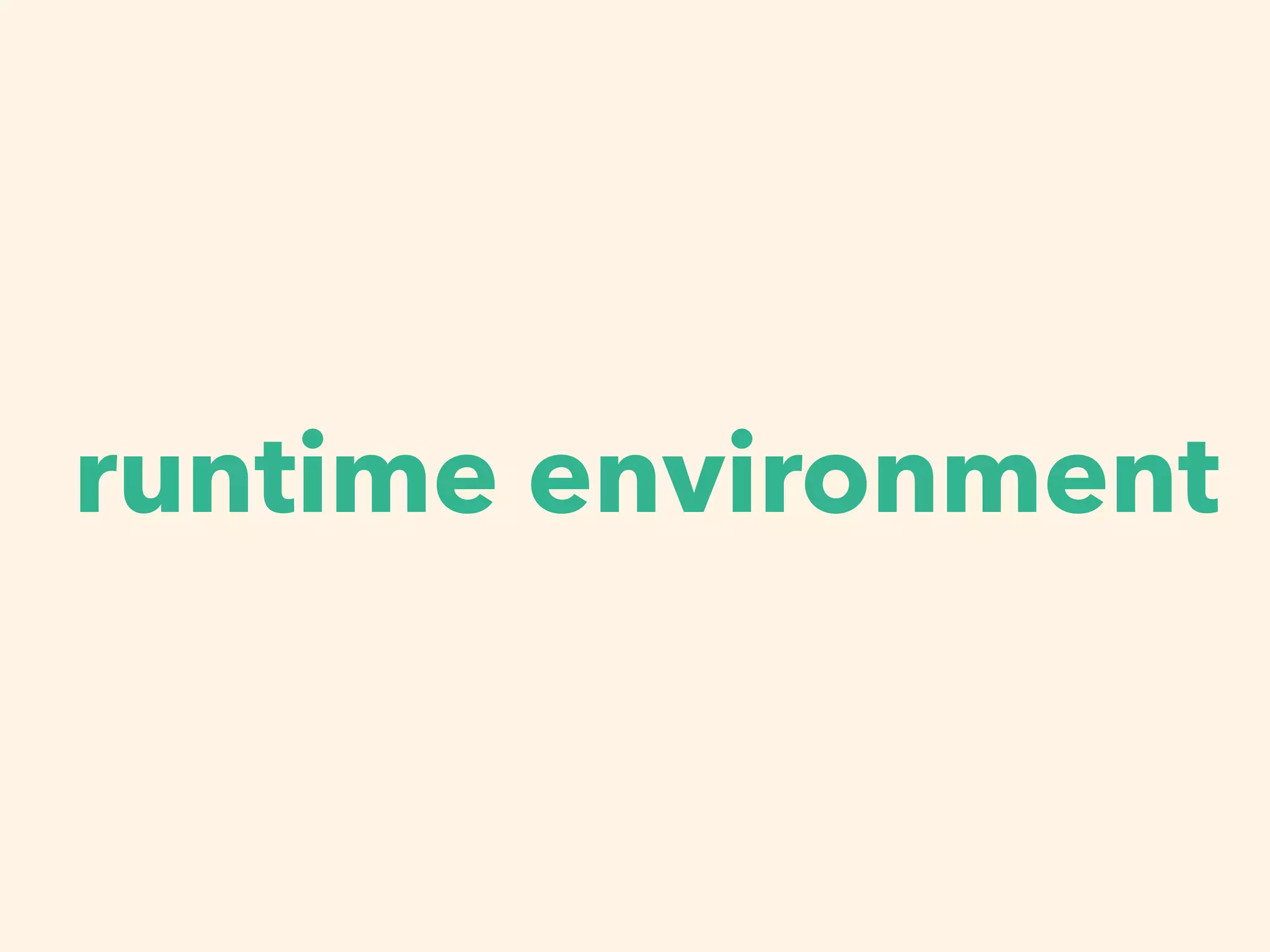 runtime environment
 