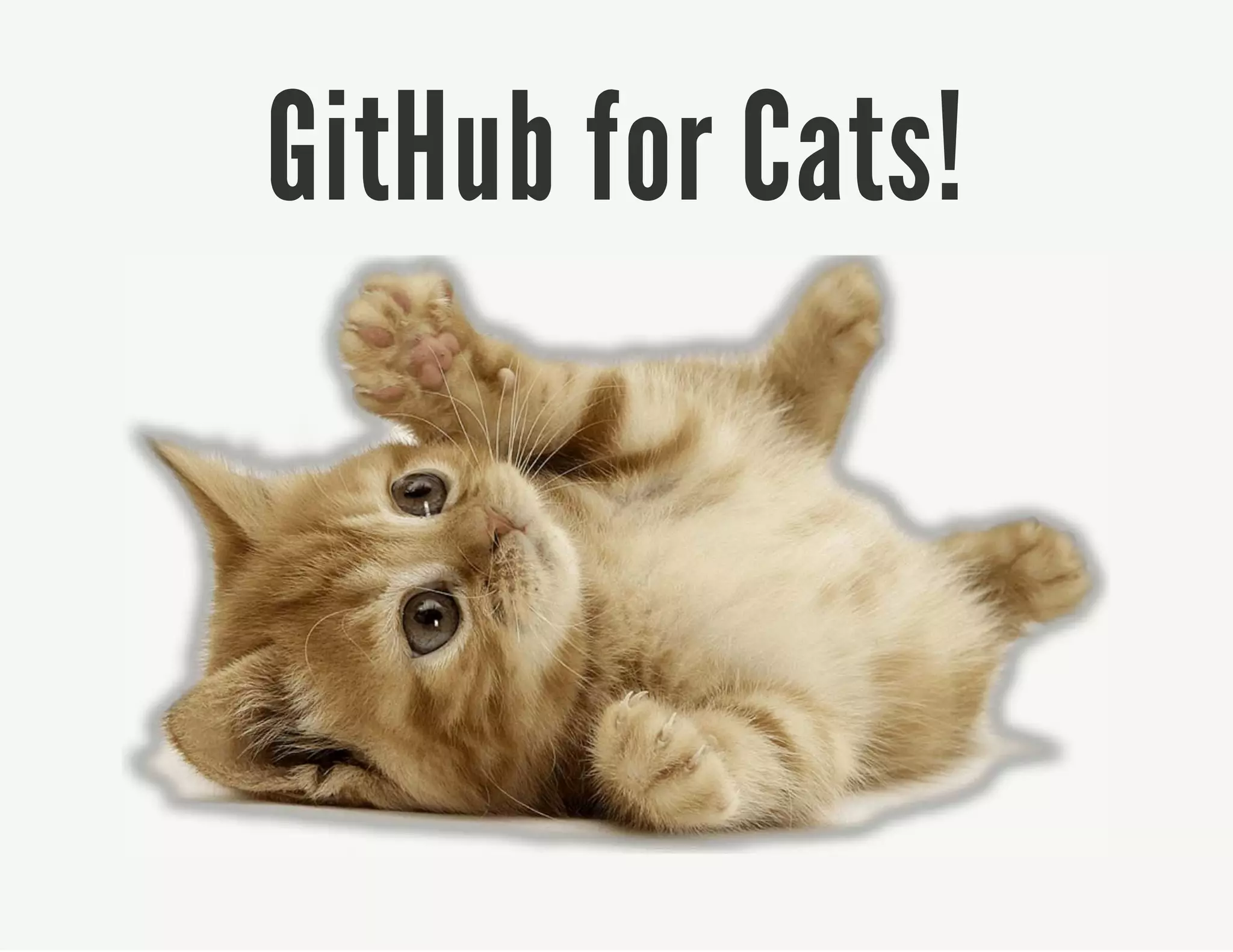 GitHub for Cats!