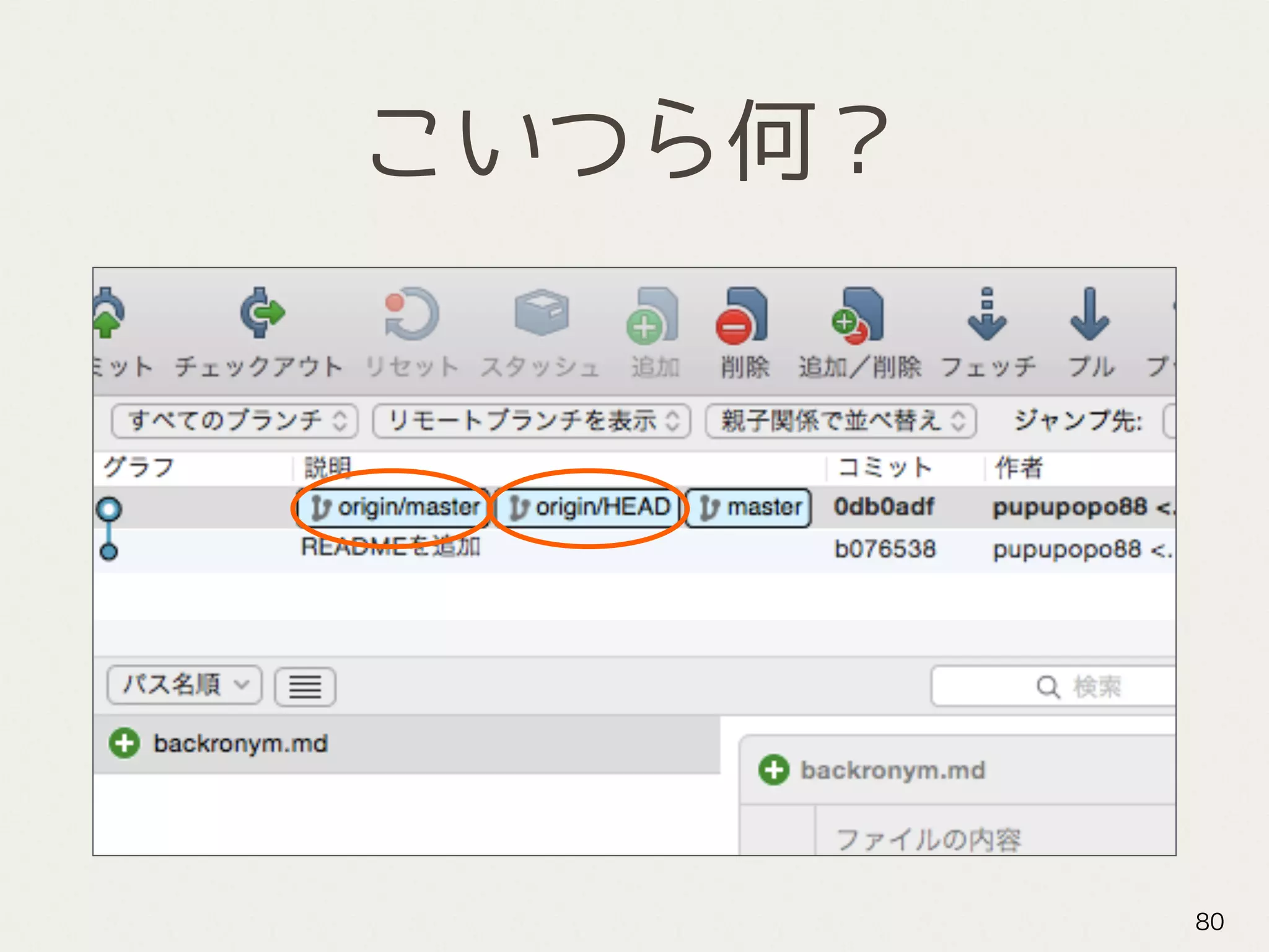 こいつら何？
80
 
