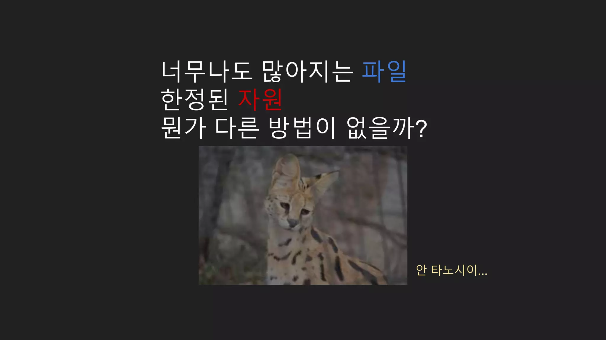 너무나도 많아지는 파일 한정된 자원 뭔가 다른 방법이 없을까? 안 타노시이... 