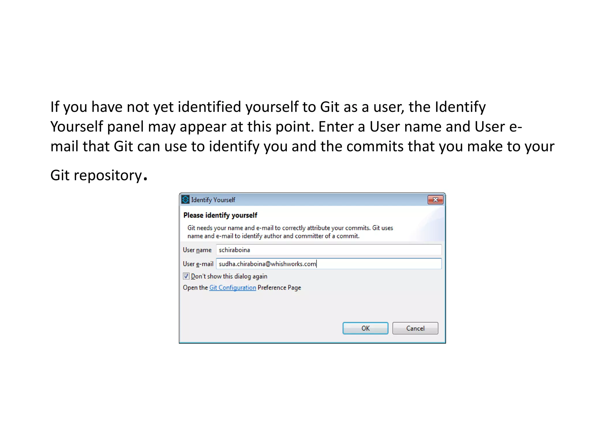 If you have not yet identified yourself to Git as a user, the Identify
Yourself panel may appear at this point. Enter a User name and User e-
mail that Git can use to identify you and the commits that you make to your
Git repository.
 