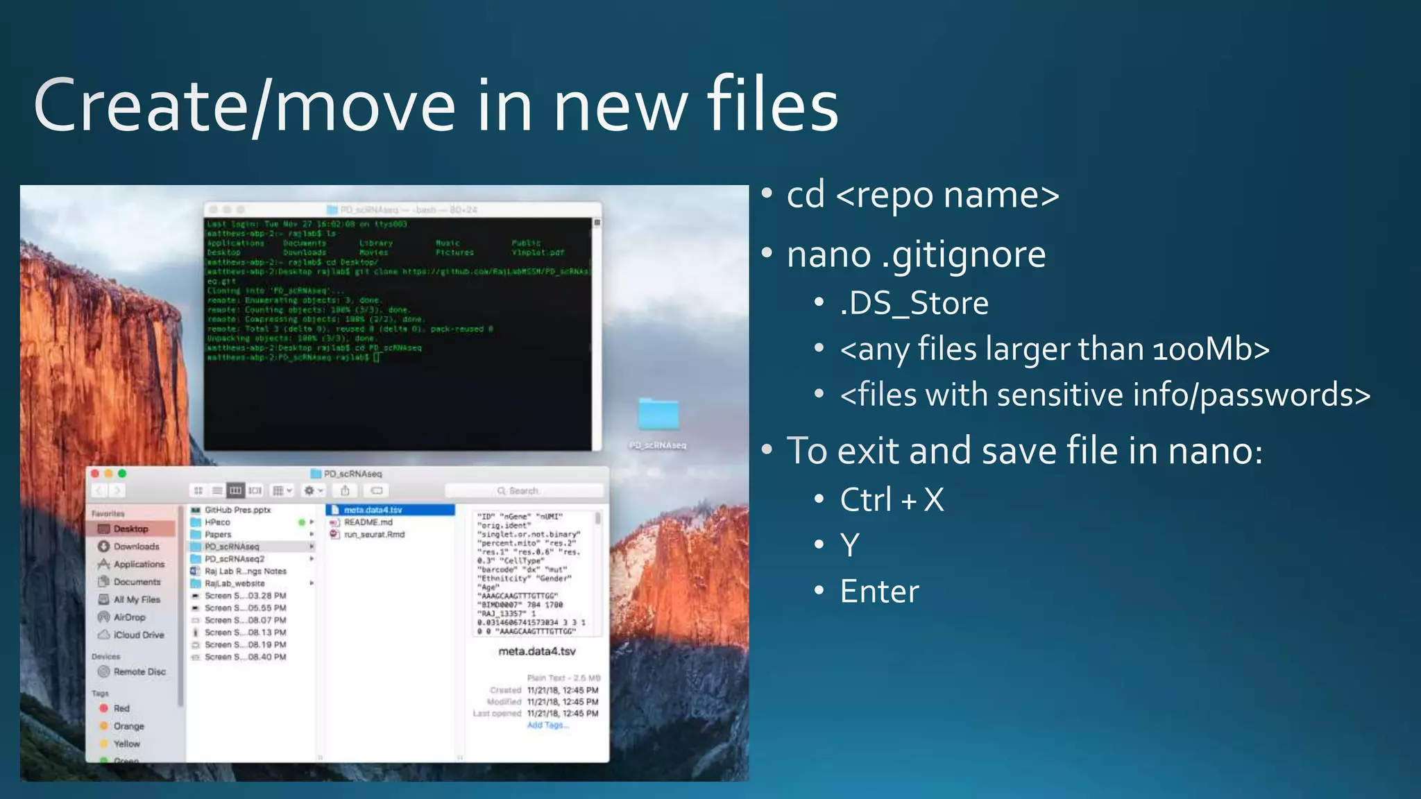 GitHub Presentation | PPTX