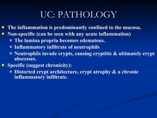 UC: PATHOLOGY The inflammation is predominantly confined to the mucosa. Non-specific (can be seen with any acute inflammation) The lamina propria becomes edematous. Inflammatory infiltrate of neutrophils Neutrophils invade crypts, causing cryptitis & ultimately crypt abscesses. Specific (suggest chronicity): Distorted crypt architecture, crypt atrophy & a chronic inflammatory infiltrate. 