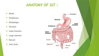 Git Infections GIT INFECTIONS git infections infections | PPTX
