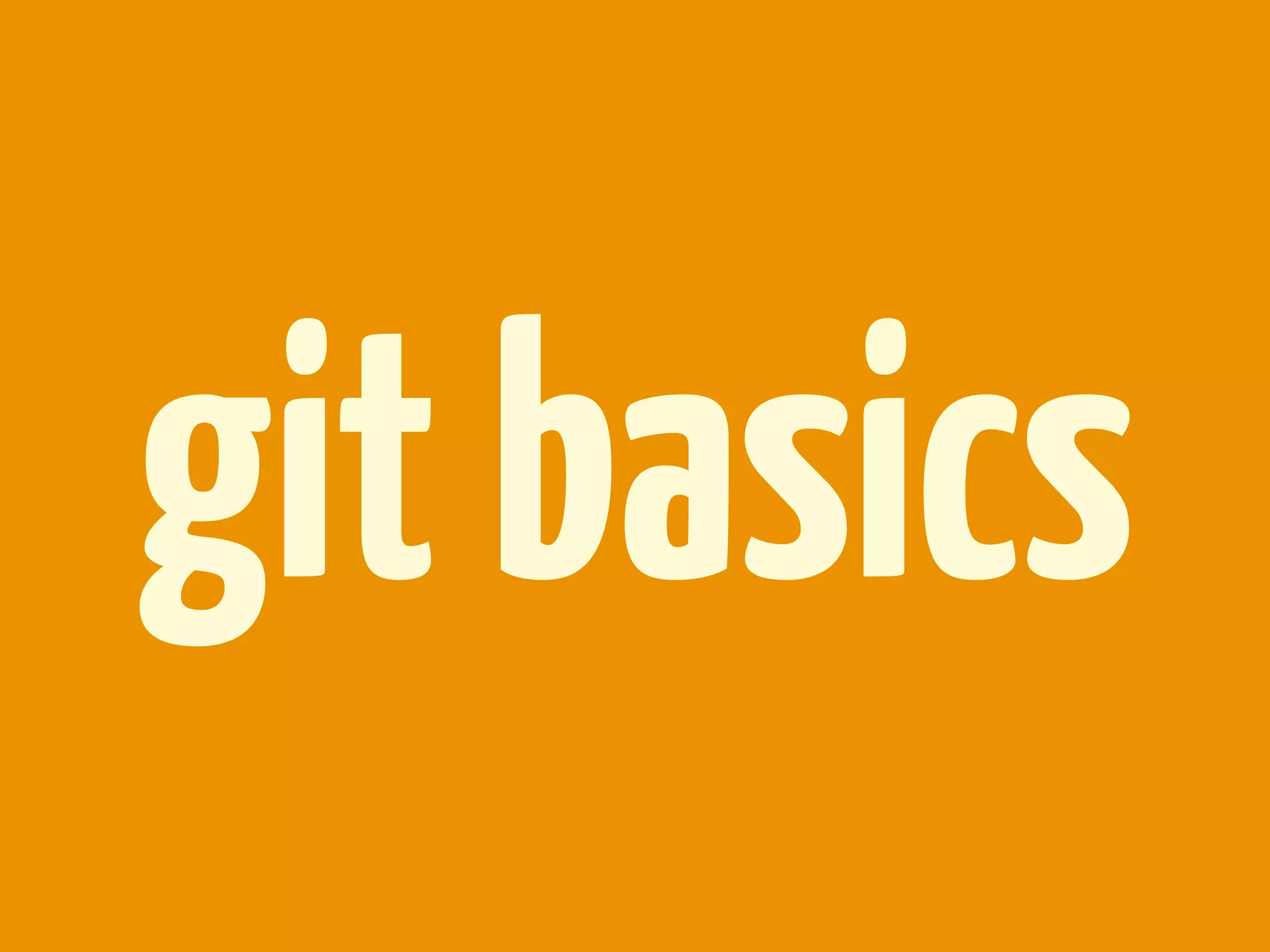 git basics
 