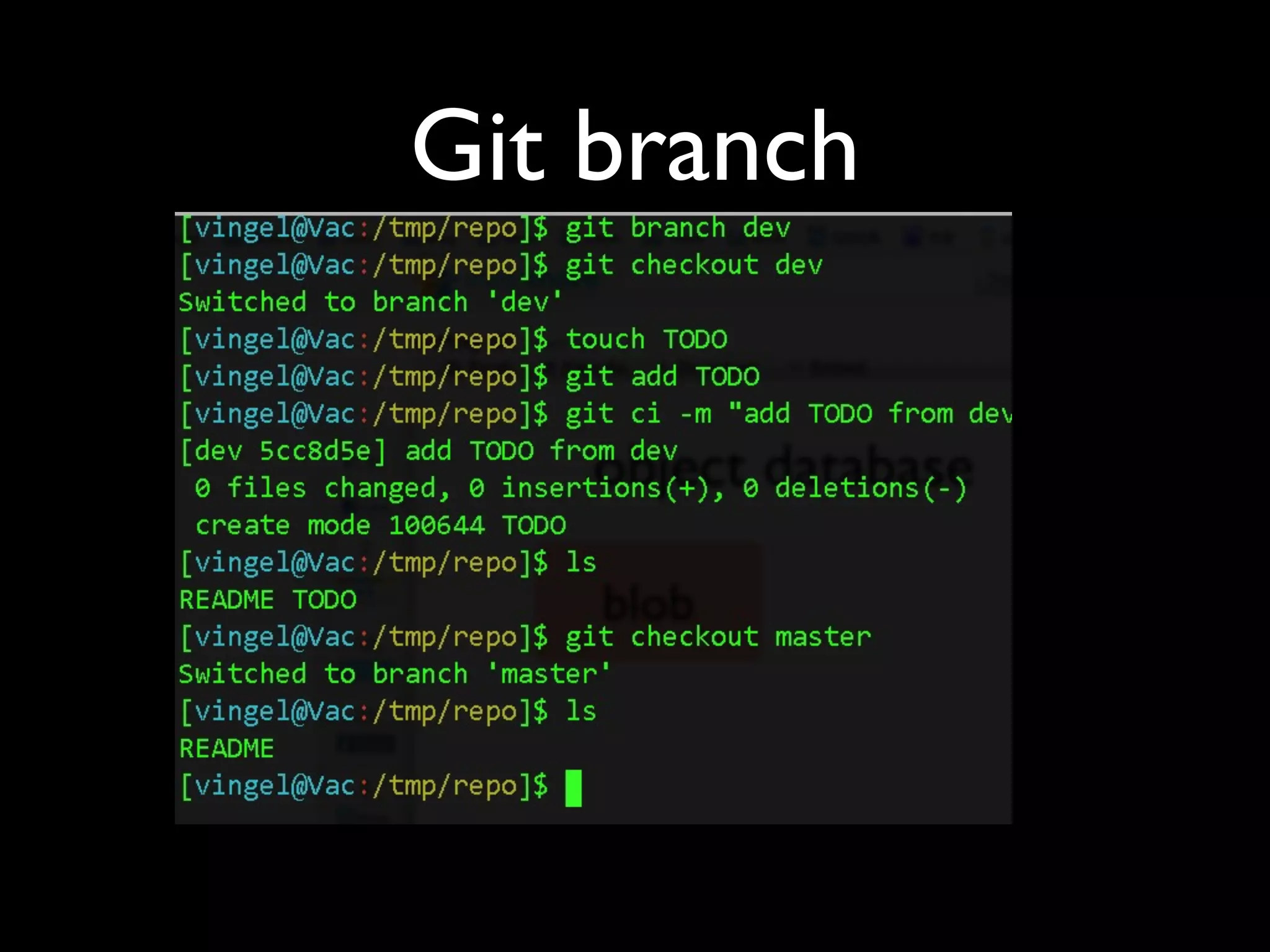 Git branch
 