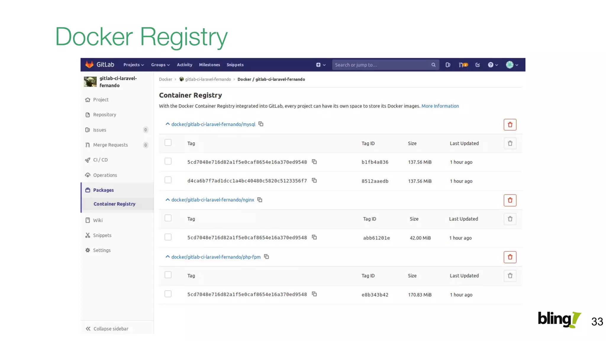 Docker Registry
33
 