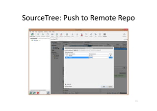 SourceTree: Push to Remote Repo
73
 