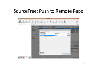 SourceTree: Push to Remote Repo
90
 