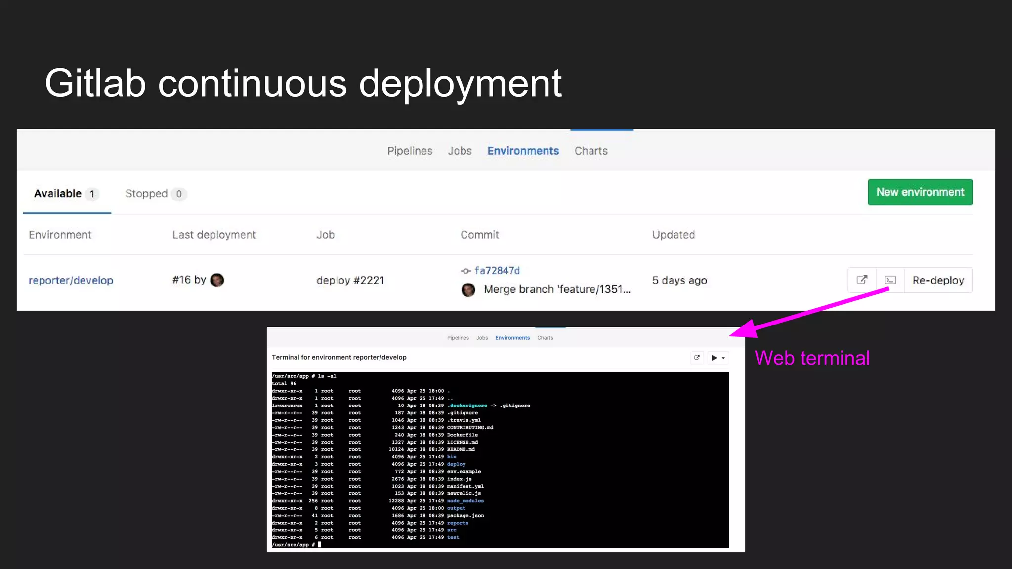 Gitlab continuous deployment Web terminal 