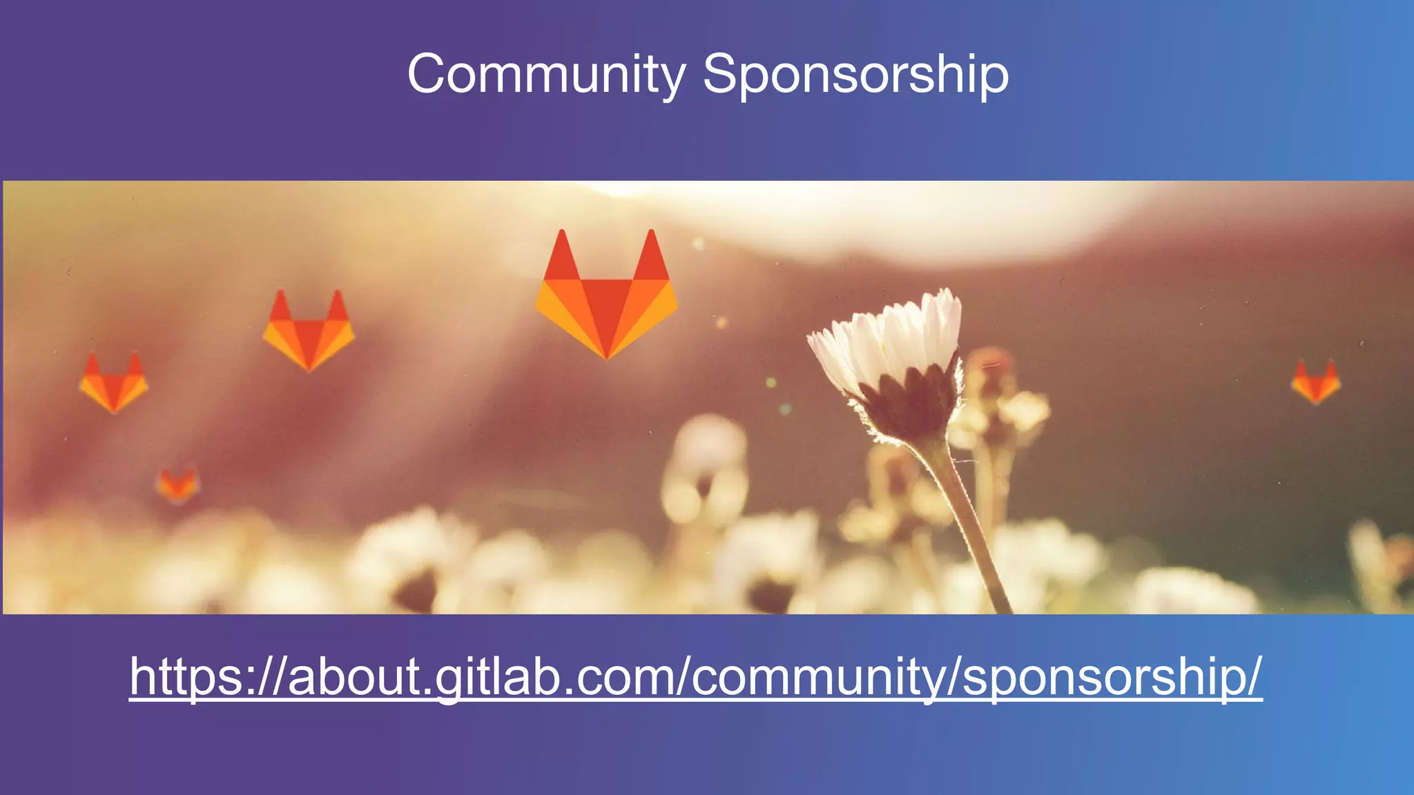 Community Sponsorship
https://about.gitlab.com/community/sponsorship/
 