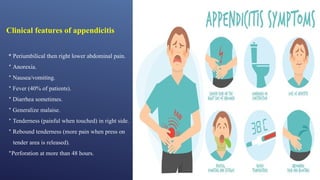 Comprehensive Overview of the Gastrointestinal System: Appendix ...