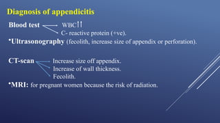 Comprehensive Overview of the Gastrointestinal System: Appendix ...