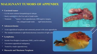 Appendix Endoscopy Comprehensive Overview of the Gastrointestinal System: Appendix ...