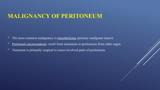 Comprehensive Overview of the Gastrointestinal System: Appendix ...