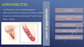 Comprehensive Overview of the Gastrointestinal System: Appendix ...